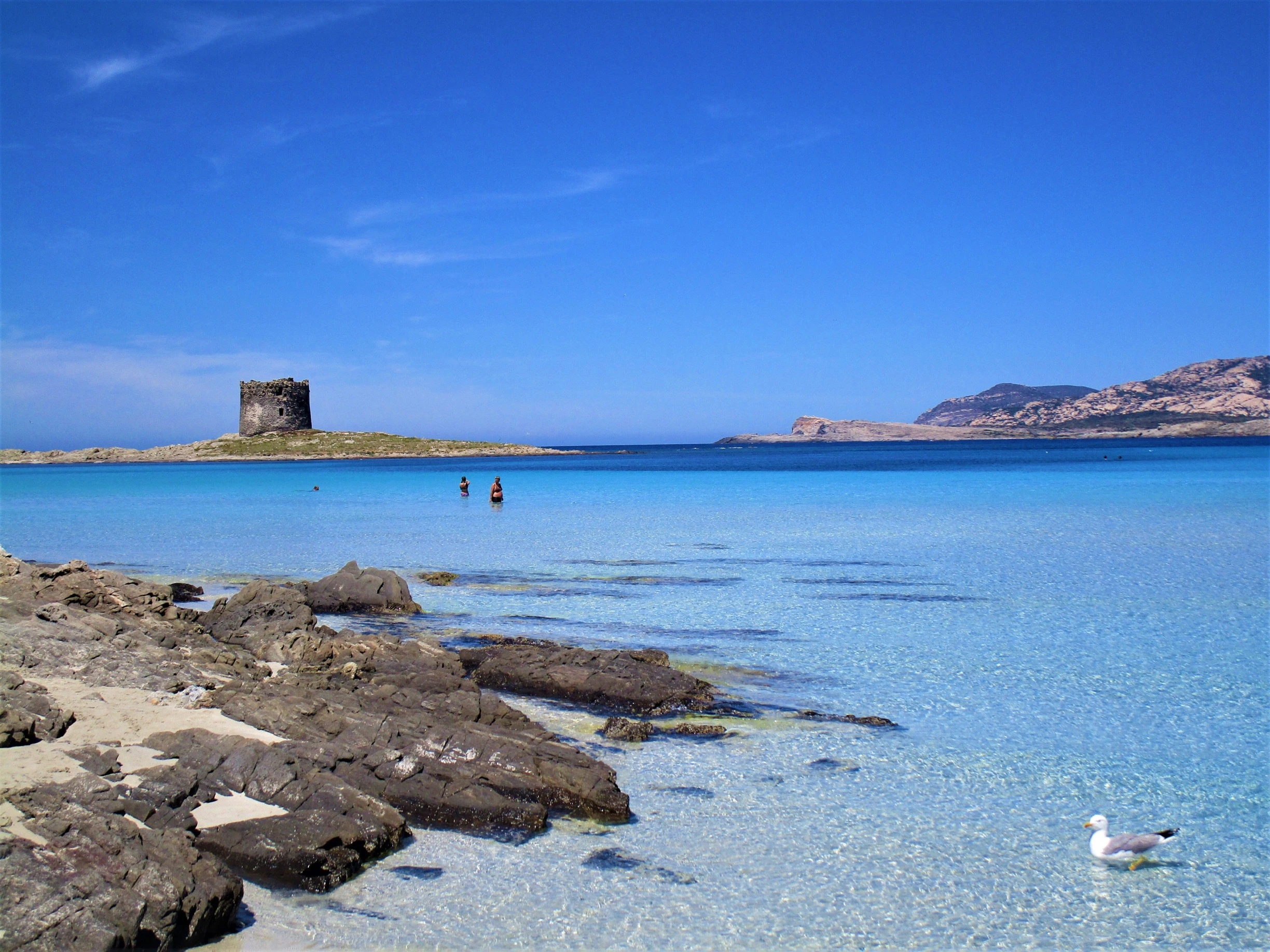 La Pelosa Beach