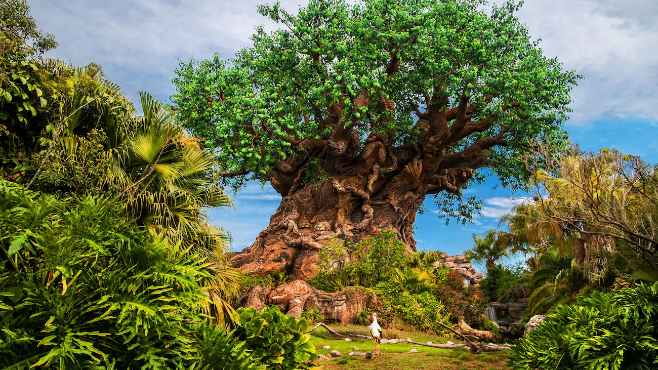 Animal Kingdom